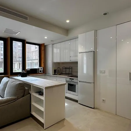 Apartment Loft In Bidezabal Getxo